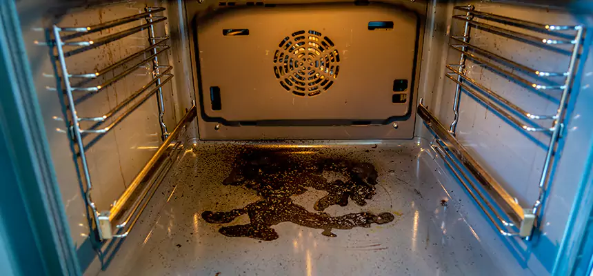 Our Air Purifier Installation Services in Mercer Island, WA