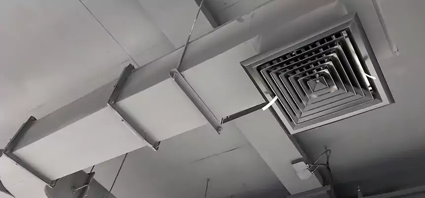 Restorative Allergy Relief Vent Cleaning – Coil, Blower & Housing Detail in Mercer Island