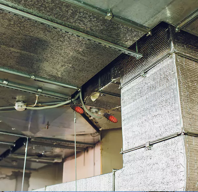 Why Homeowners & Businesses Trust Us in Mercer Island, WA?